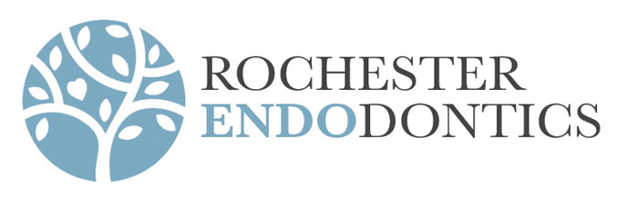 rochesterendo.com